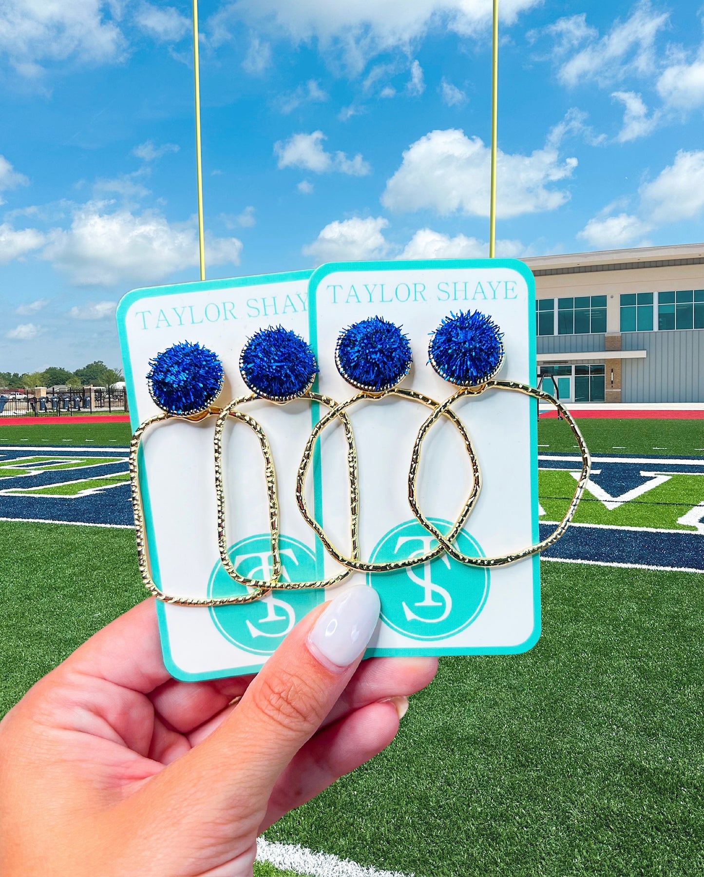 Gameday Field Goal Hoops