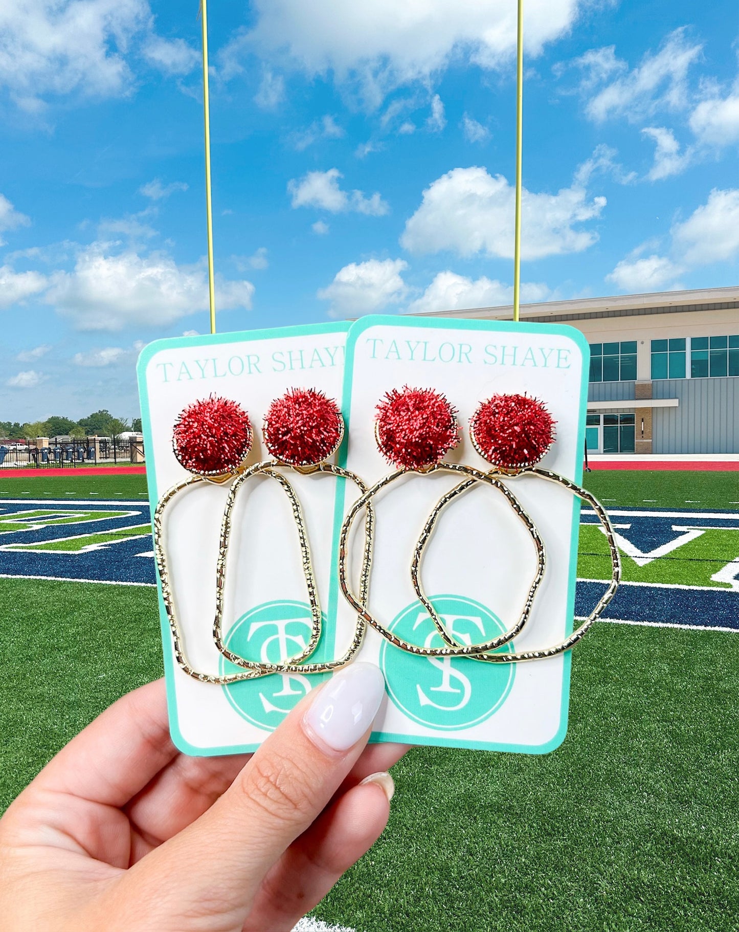 Gameday Field Goal Hoops